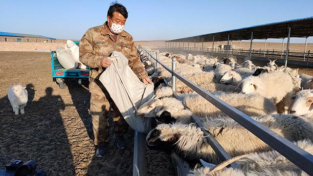 新增羔羊短期育肥示范户247户;培育绒山羊养殖合作社5个,绒山羊养殖
